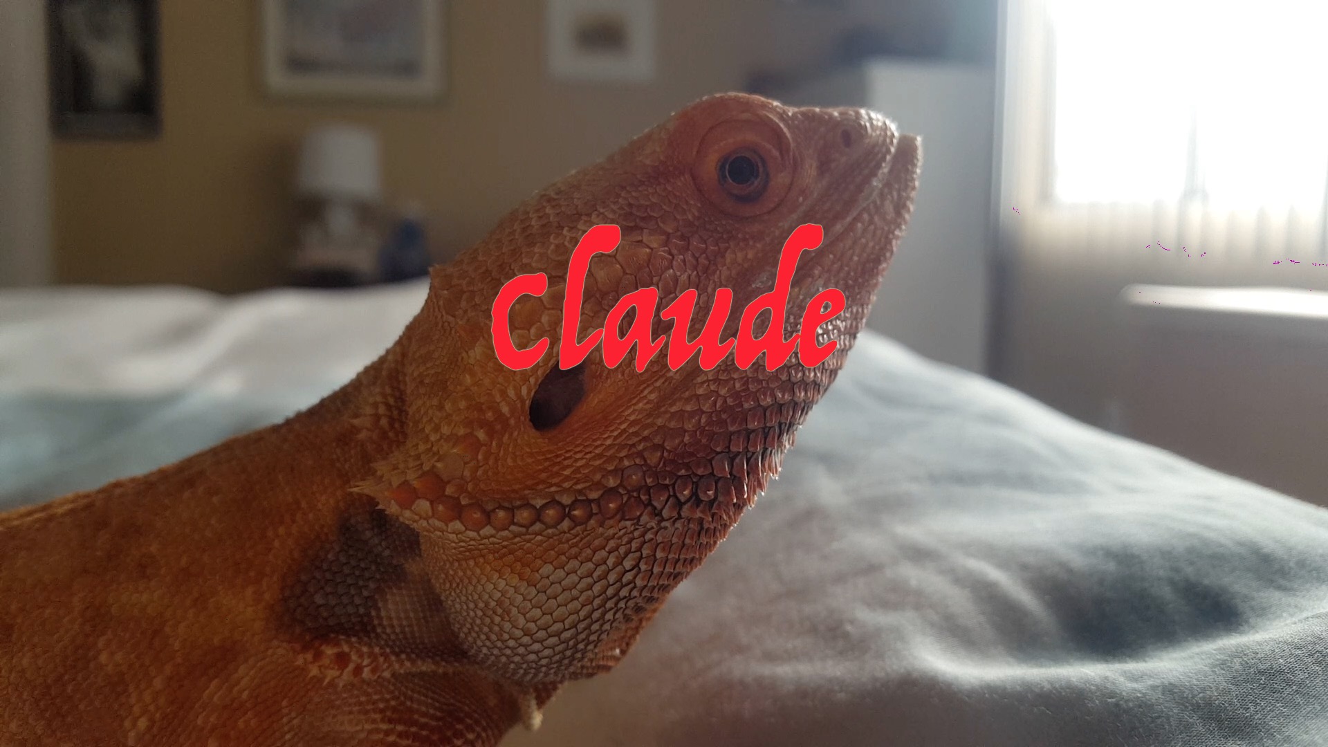 Claude (2020)